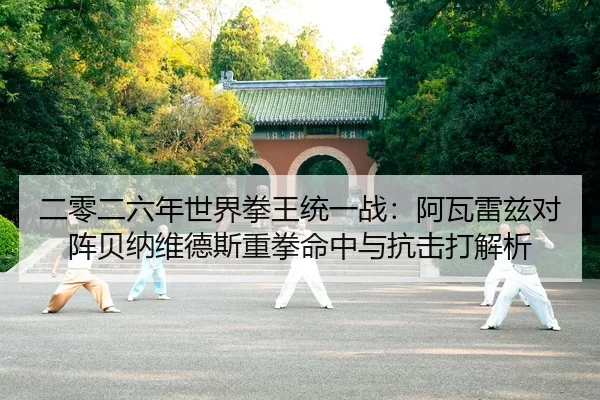 二零二六年世界拳王统一战：阿瓦雷兹对阵贝纳维德斯重拳命中与抗击打解析