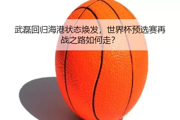 wu-lei-hui-gui-hai-gang-zhuang-tai-huan-fa-shi-jie-bei-yu-xuan-sai-zai-zhan-zhi-lu-ru-he-zou-2-201.jpg